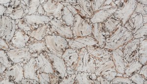 petrified wood white leather finish  