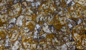 petrified wood yellow with white  